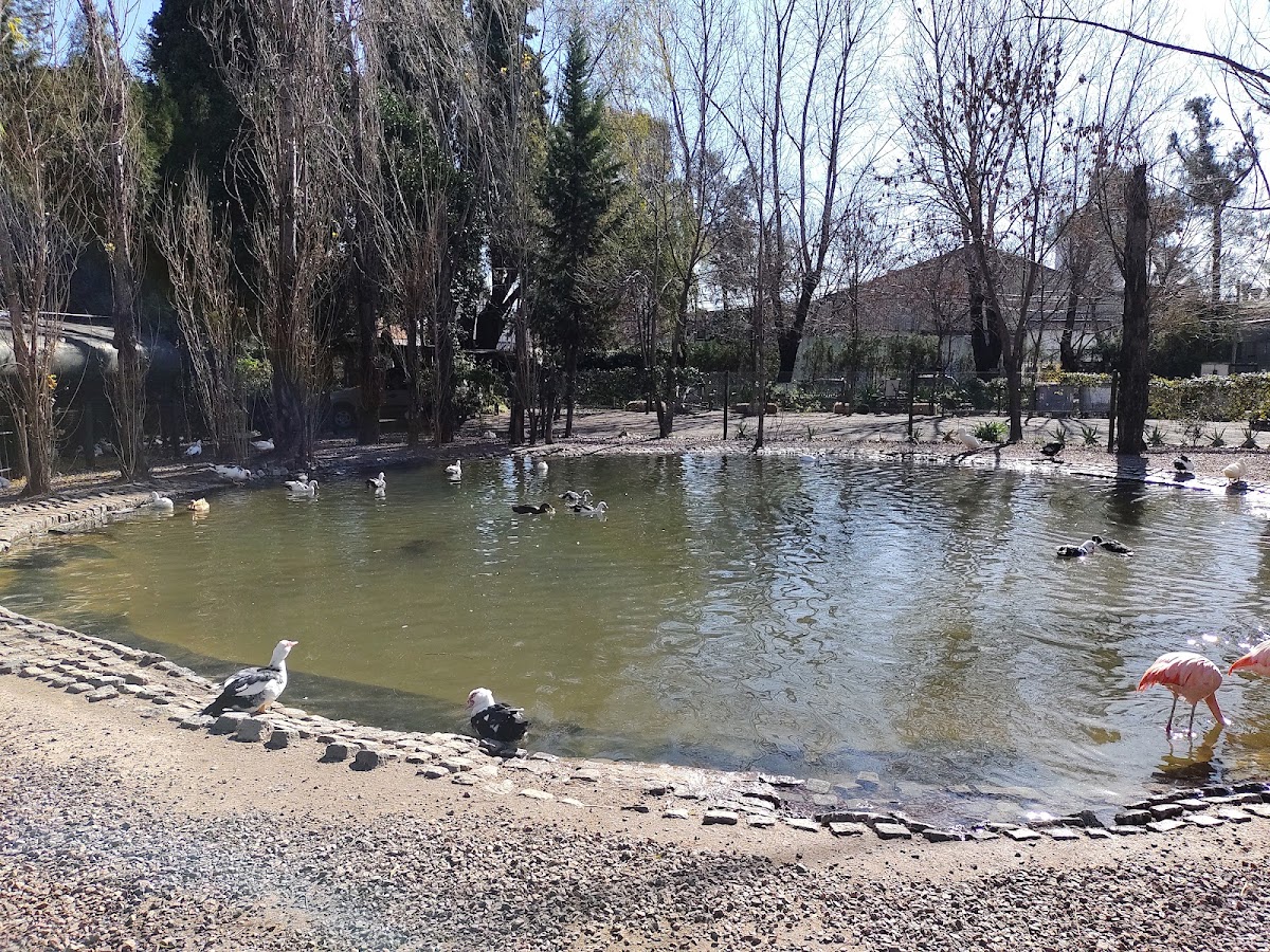 Cacha Educativa San Isidro Labrador: plan gratis para chicos