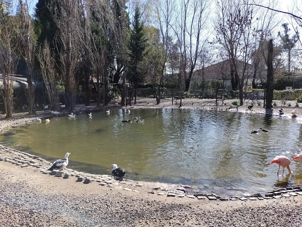 Chacra Educativa San Isidro Labrador: un dia de campo para chicos