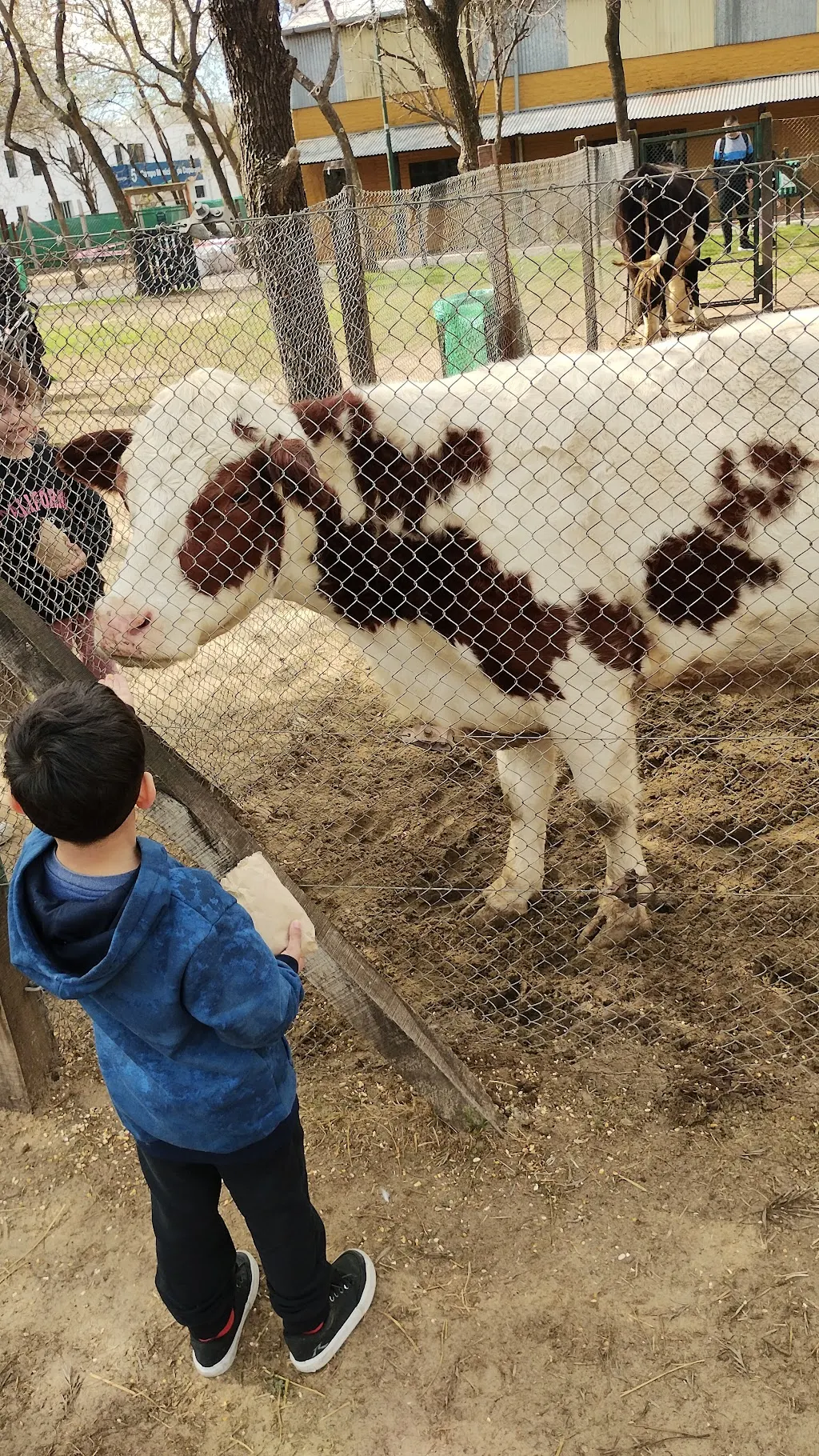Chacra Educativa San Isidro Labrador: un dia de campo para chicos