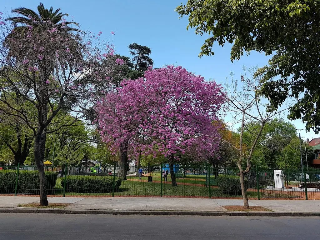 Plazas de CABA con juegos para disfrutar la tarde de otoño