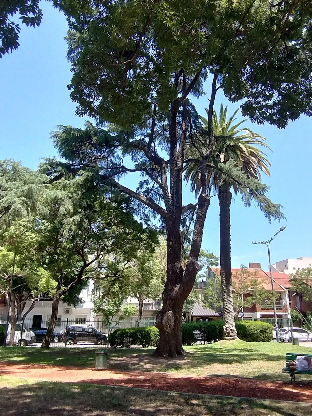 Plazas de CABA con juegos para disfrutar la tarde de otoño
