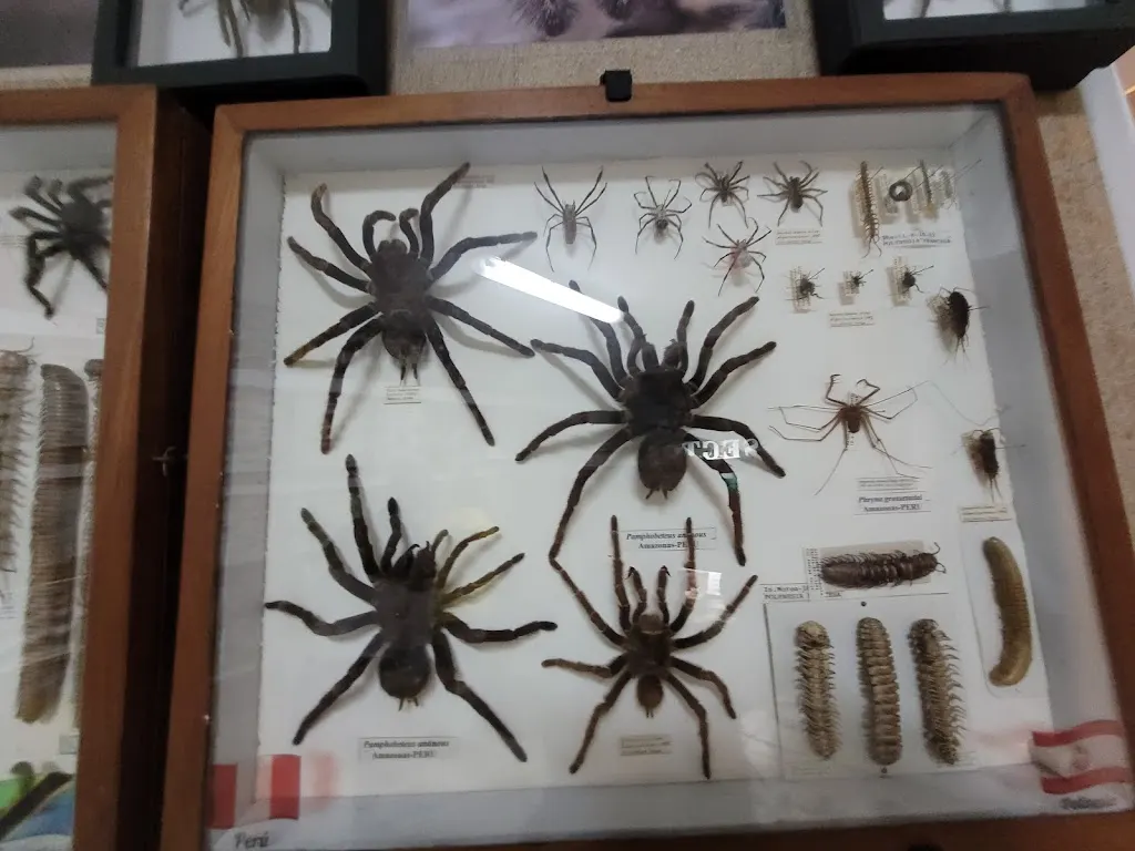 Planes para días de frío: salí con los chicos indoors en CABA y Zona Oeste