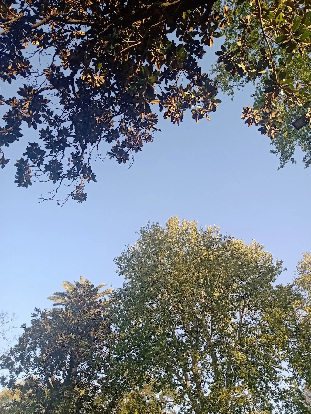 ¡A la Plaza Larrazábal en Villa Luro! Juegos, aire libre y diversión para los más chicos