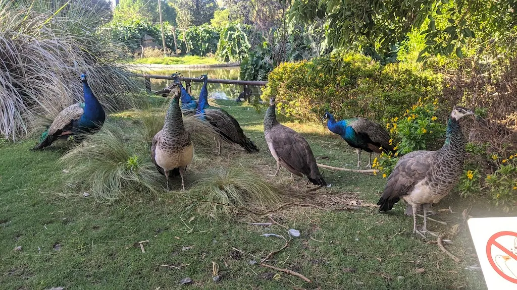 Ecoparque Buenos Aires: un planazo para conectar con la naturaleza en familia