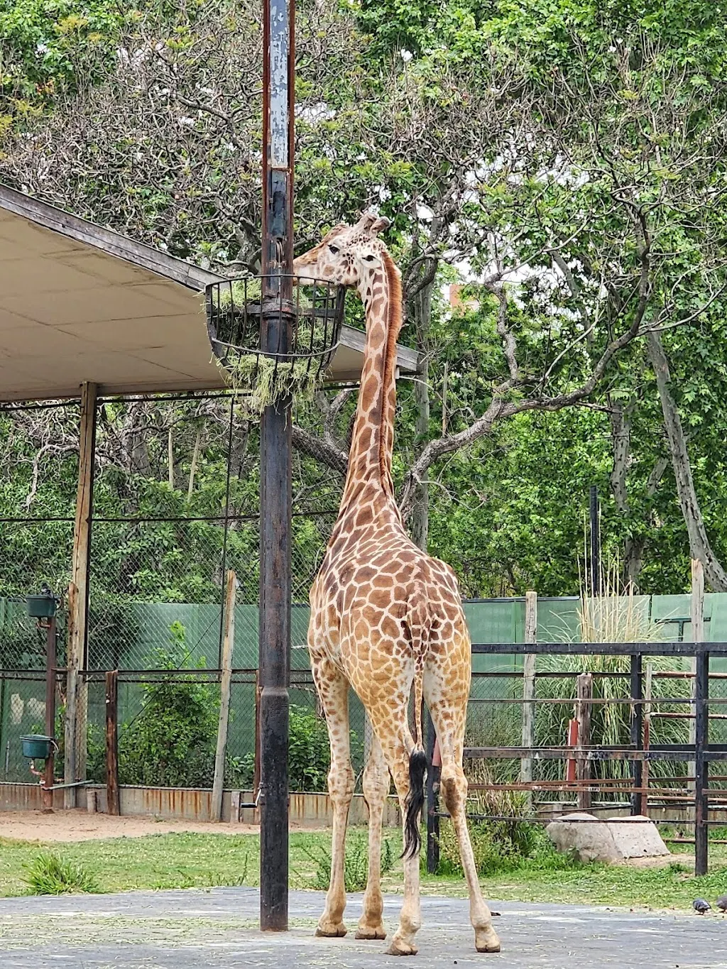 Ecoparque Buenos Aires: un planazo para conectar con la naturaleza en familia
