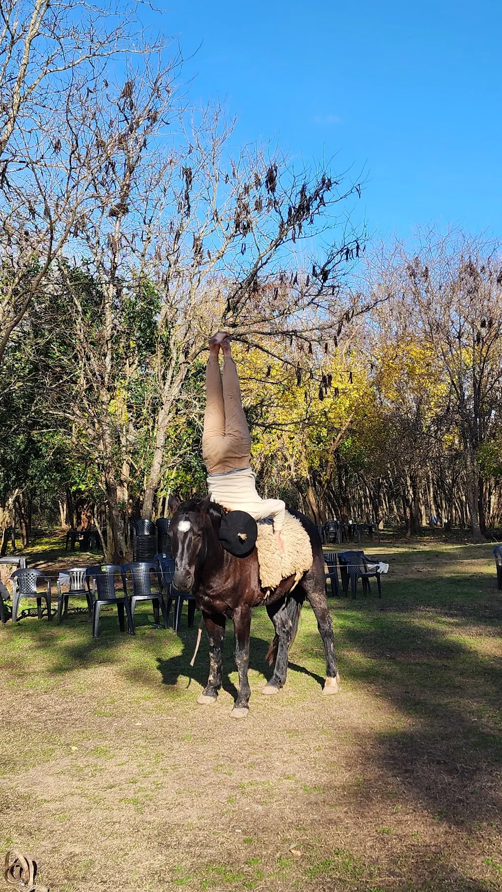 La Caballería de Keen: día de campo y animales para toda la familia