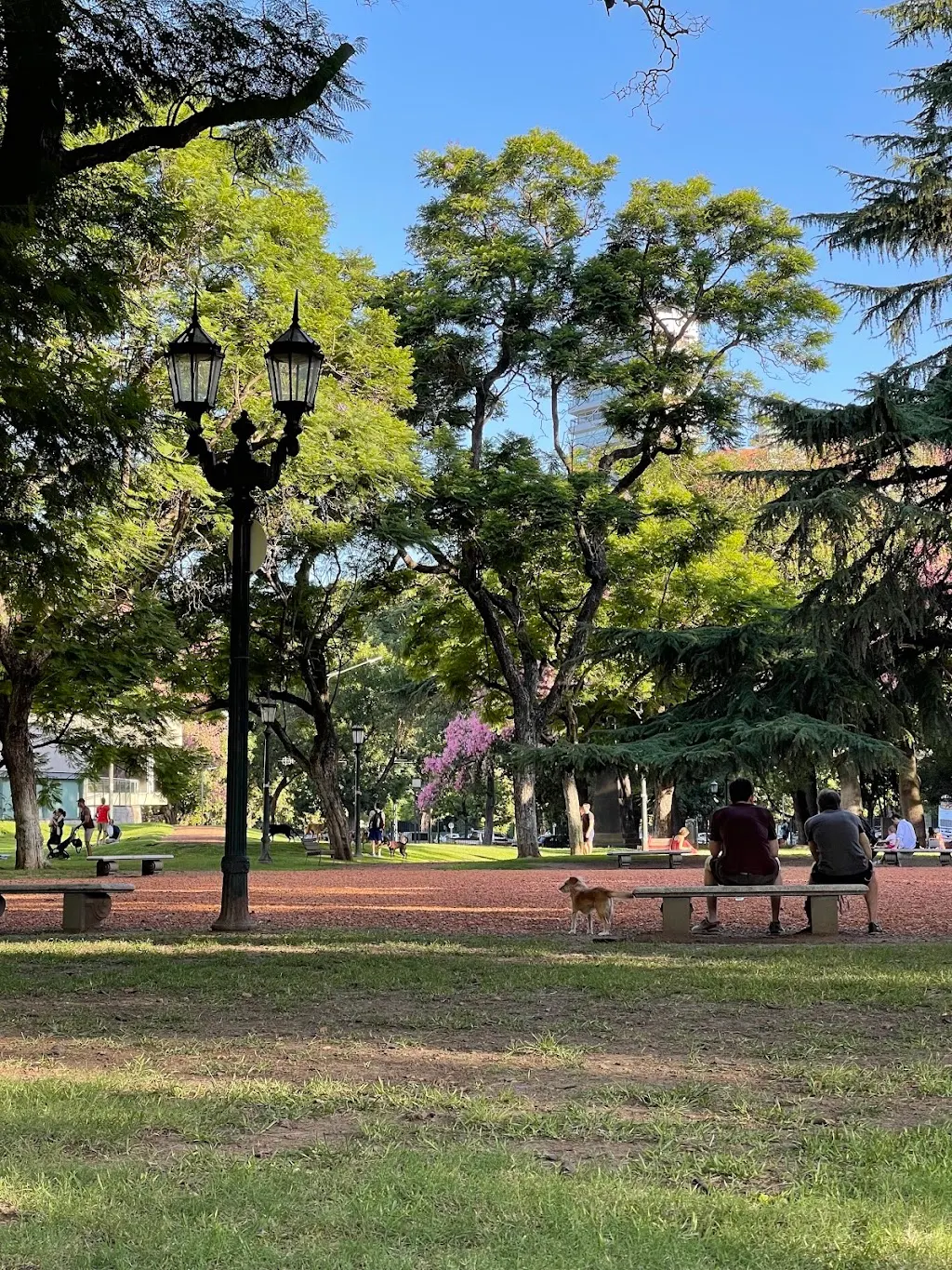 Plaza República de Chile en Palermo: diversión gratis al aire libre
