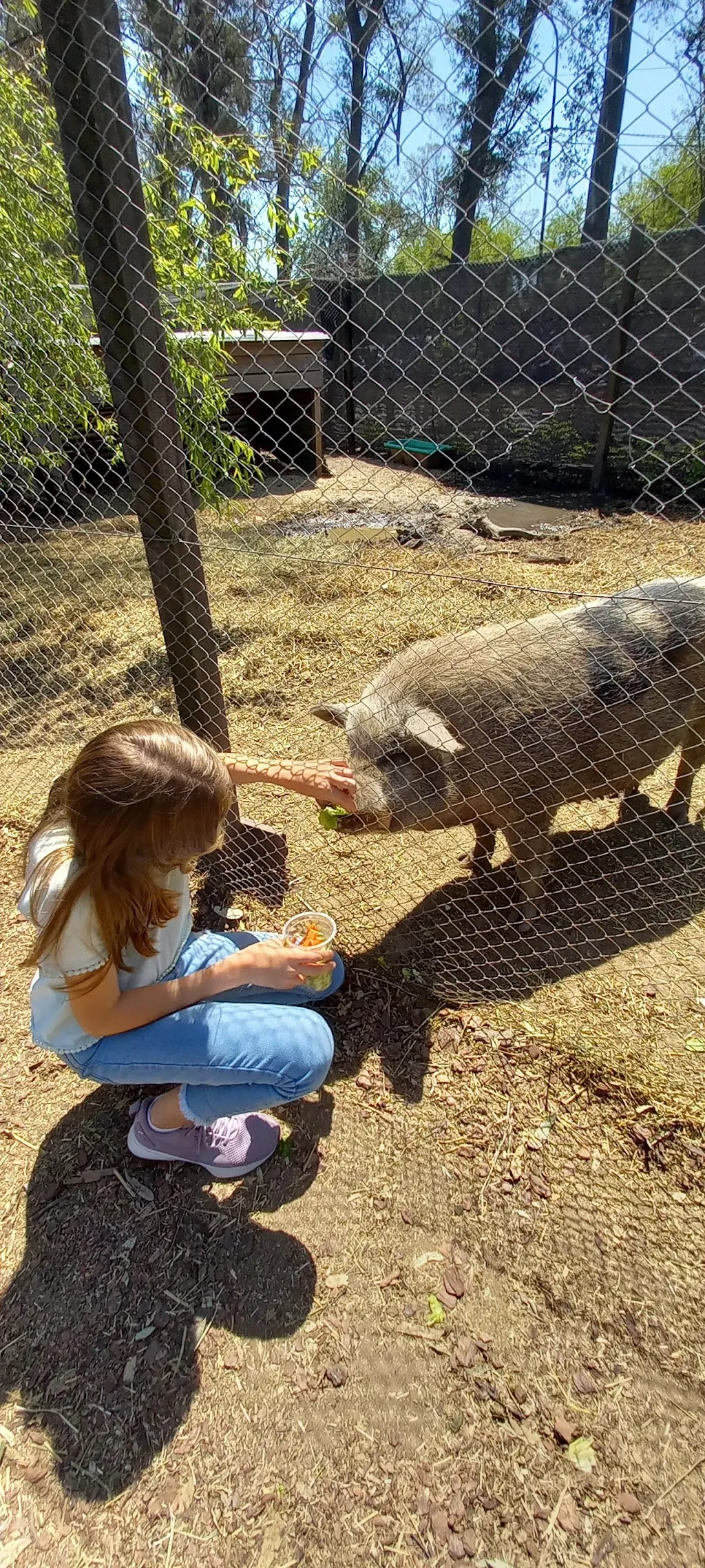 Granja Educativa Don Benito: ¡diversión y aprendizaje gratis en familia!
