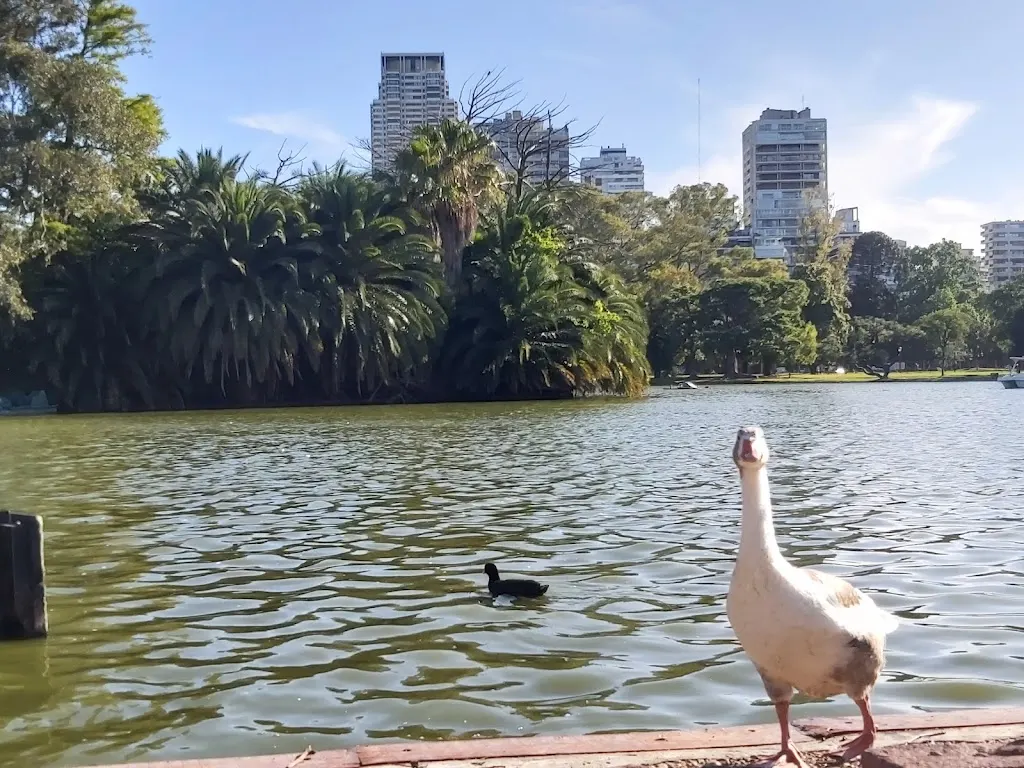 Planes gratis en CABA para disfrutar las vacaciones de invierno con los chicos