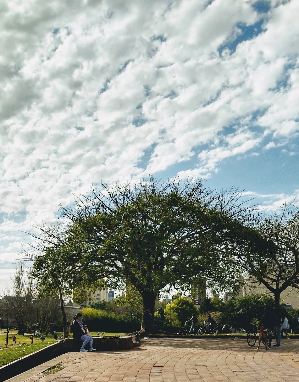 Plaza del Sapo (Parque Vuelta de Obligado): Diversión gratis al aire libre en Parque Patricios