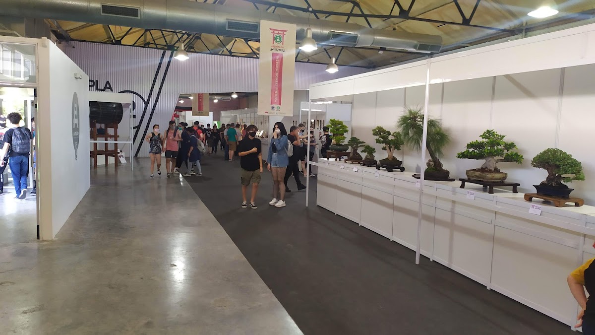 Planes gratis en CABA para disfrutar las vacaciones de invierno con los chicos