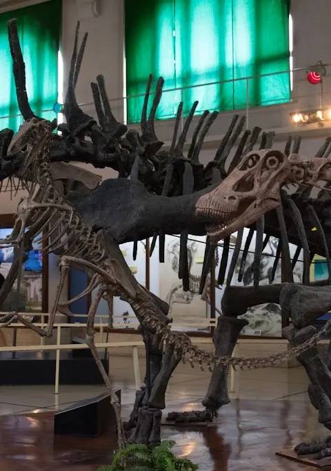 Museo Argentino de Ciencias Naturales "Bernardino Rivadavia"