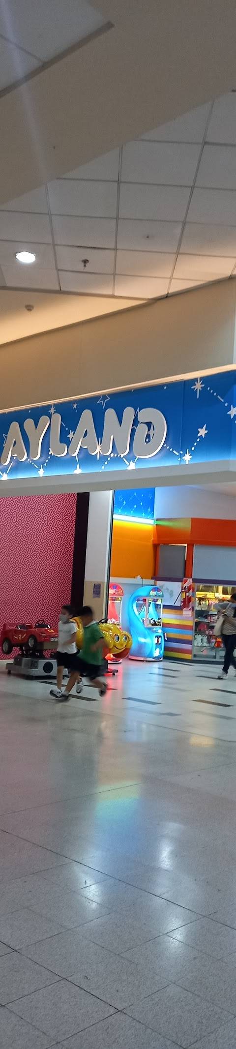 Playland Park Factory Parque Brown
